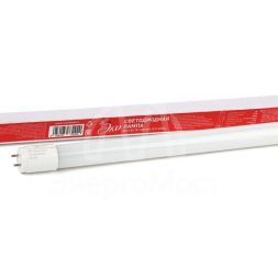 Лампа светодиодная smd T8-10w-865-G13 600mm ECO ЭРА Б0032975