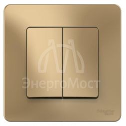Выключатель 2-кл. СП Blanca 10А IP20 (сх. 5) 250В титан SchE BLNVS010504