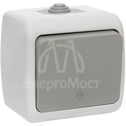 Переключатель проходной 1-кл. ОП Мурманск 10А IP54 сер. EKF EFV10-025-30-54