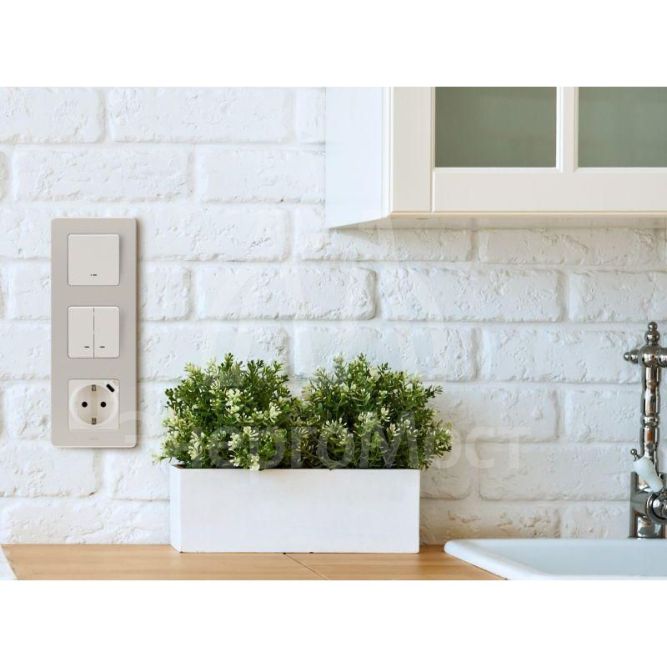 Выключатель 2-кл. Inspiria 250В 10AX с подсветкой / индикацией сл. кость Leg 673631