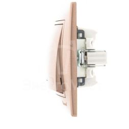 Выключатель 1-кл. СП Мира 10А IP20 с подсветкой со вставкой свет. корич. перламутр LEZARD 701-3131-111