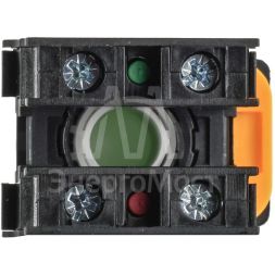 Кнопка d22мм 1НО+1НЗ MASTER зел. IEK MI-BT60-11-3-22-K06