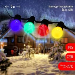 Гирлянда &amp;quot;Белт Лайт&amp;quot; 5м 15LED шаг 30см мультиколор 220В каучуковая изоляция IP65 ЭРА Б0047953
