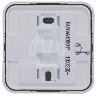 Выключатель 2-кл. ОП Blanca 10А IP20 (сх. 5) 250В с изолир. пластиной бел. SE BLNVA105011