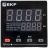 Измеритель-регулятор EKF TER101-L-CV-M2A-R