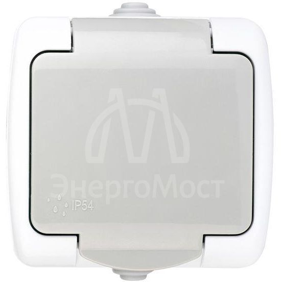 Розетка 1-м ОП Мурманск 16А IP54 с заземл. защ. шторки с крышкой сер. EKF EFR16-029-30-54