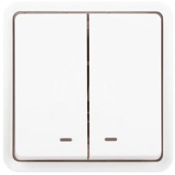 Выключатель Эксперт 11-1525-01 двойн. с подсветкой IP55 10АХ-250В СУ бел. Эра Б0063304