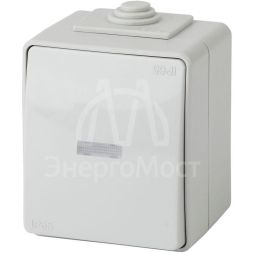 Выключатель 1-кл. ОП Эра Эксперт 10А IP65 11-1602-03 250В 10AX с подсветкой сер. Эра Б0035974