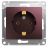 Механизм розетки 1-м Glossa 16А 250В с заземл. баклажан. SchE GSL001143