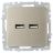 Розетка BRITE USB A+A 3.1А РЮ10-1-БрШ шампань IEK BR-U21-D31-K37