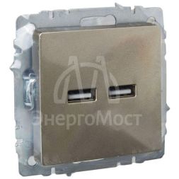 Розетка BRITE USB A+A 3.1А РЮ10-1-БрШ шампань IEK BR-U21-D31-K37