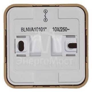 Выключатель 1-кл. ОП Blanca 10А IP20 (сх. 1) 250В с изолир. пластиной ясень SchE BLNVA101015