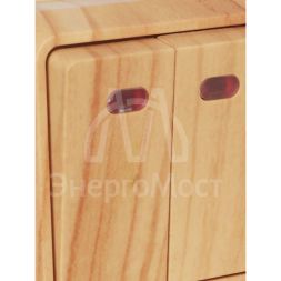 Выключатель 2-кл. ОП Октава 10А IP20 ВС20-2-1-ОС с индикацией сосна IEK EVO21-K03-10-DC