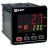 Измеритель-регулятор EKF TER101-S-CV-M1A-R