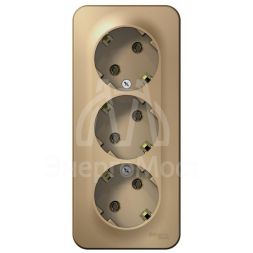 Розетка 3-м ОП BLANCA 16А 250В без шторок с заземл. изол. пласт. титан SchE BLNRA010314