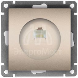 Розетка компьютерная 1-м СП Афина RJ45 кат.5E механизм шампань Universal A0051-Br