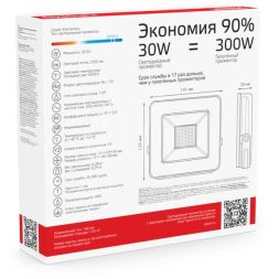 Прожектор светодиодный Elementary 30Вт 2100лм IP65 6500К черн. ПРОМО Gauss 613100330P