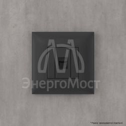 Розетка компьютерная 1-м СП Avanti &amp;quot;Черный матовый&amp;quot; RJ45 кат.6 без шторок механизм DKC 4412693