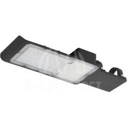 Светильник светодиодный SPP-503-0-50K-030 30Вт 3000лм 5000К IP65 (Аналог ДКУ) консольный ЭРА Б0043666