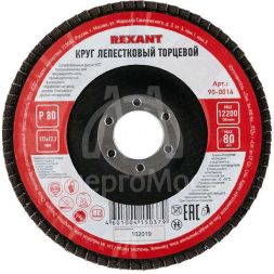 Круг лепестковый торцевой P 80 125х22.2мм Rexant 90-0014