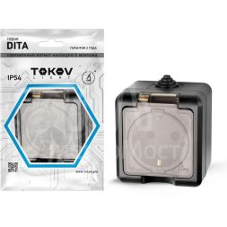 Розетка 1-м ОП Dita 16А IP54 250В с заземл. с прозр. крышкой карбон TOKOV ELECTRIC TKL-DT-R1Z-C14T-IP54