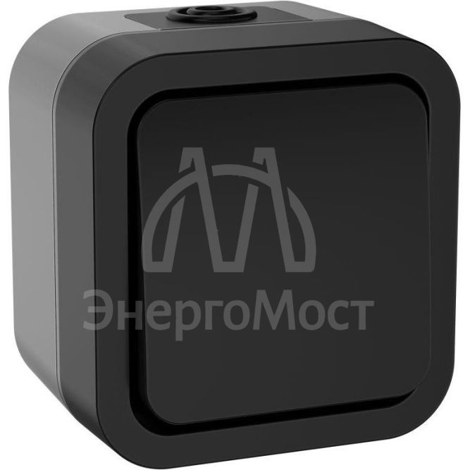 Переключатель 1-кл. ОП TORS 10А IP55 TS101 графит IEK TS-V10-0-10-55-K53