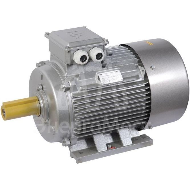 Электродвигатель АИР DRIVE 3ф 200M6 660В 22кВт 1000об/мин 1081 IEK DRV200-M6-022-0-1010