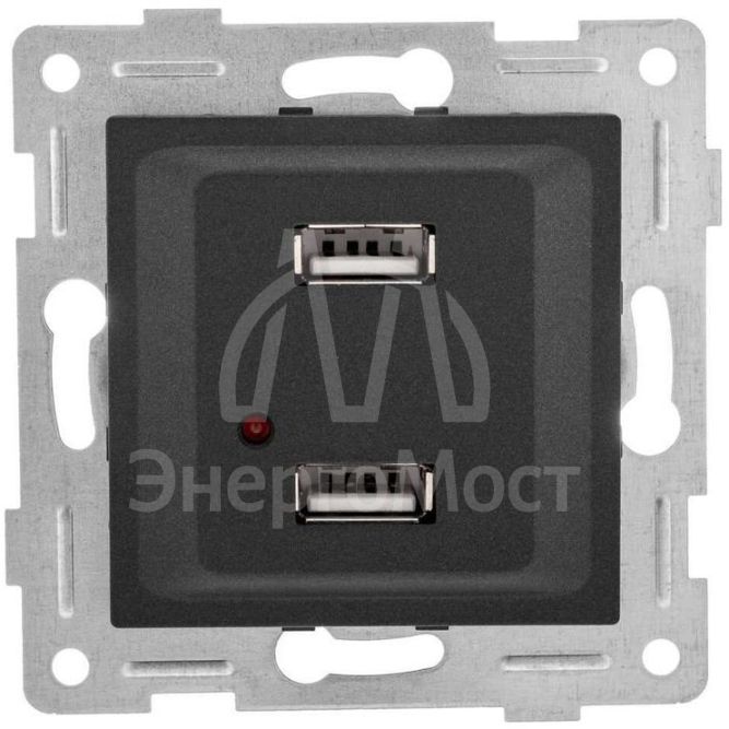 Розетка USB 2-м СП Ugra механизм графит GUSI С11USB2-010
