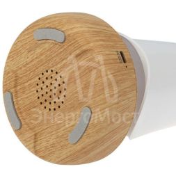 Светильник интерьерный &amp;quot;Тукан&amp;quot; Neon-Night 503-059