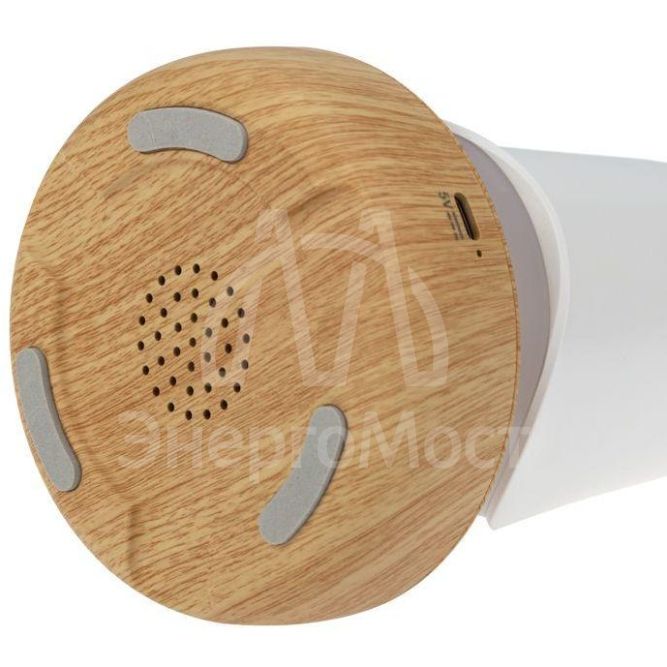 Светильник интерьерный &amp;quot;Тукан&amp;quot; Neon-Night 503-059