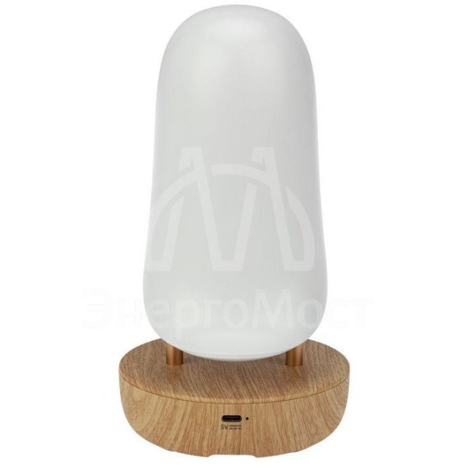 Светильник интерьерный &amp;quot;Тукан&amp;quot; Neon-Night 503-059