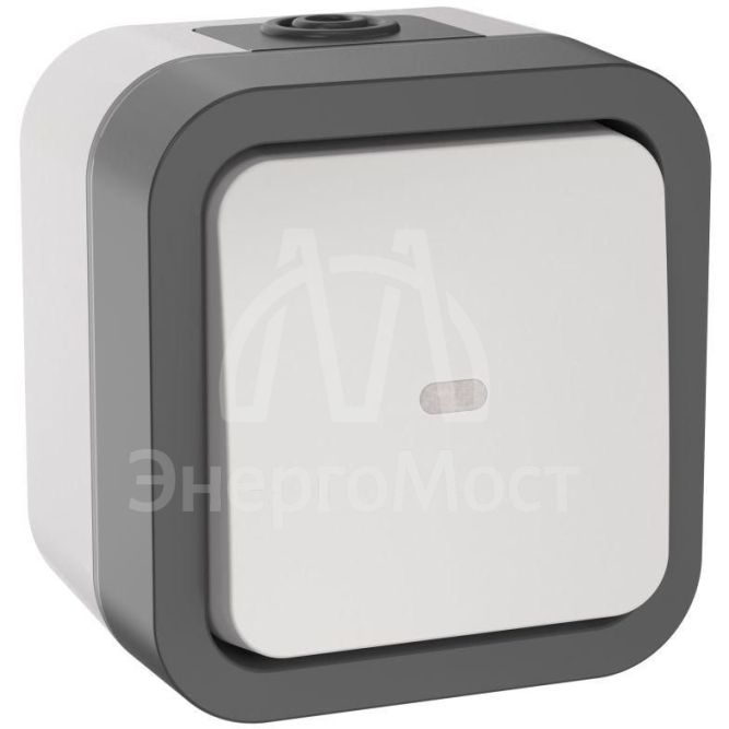 Переключатель 1-кл. ОП TORS 10А IP55 TS202 с индикацией бел. IEK TS-V10-1-10-55-K41