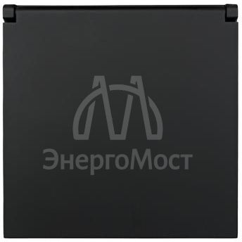 Розетка 1-мест. с/з с крышкой ПБТ СП ZIMA IP20 16А безвинт. зажим черн. бархат LEZARD 704-4288-123BQC