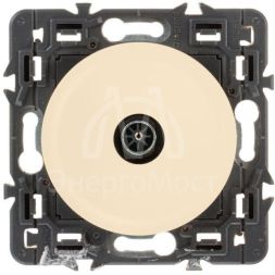 Панель лицевая Celiane для роз. TV сл. кость Leg 066231