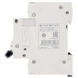 Выключатель автоматический (АВ) B 20А 2P 4.5кА 230В City9 Set SE C9F14220