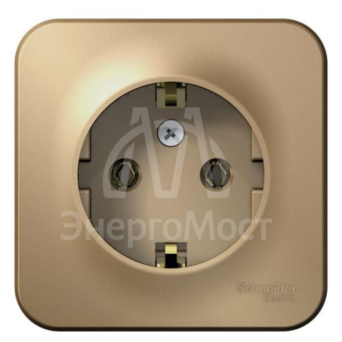 Розетка 1-м ОП BLANCA 16А 250В без шторок с заземл. изол. пласт. титан SchE BLNRA010114