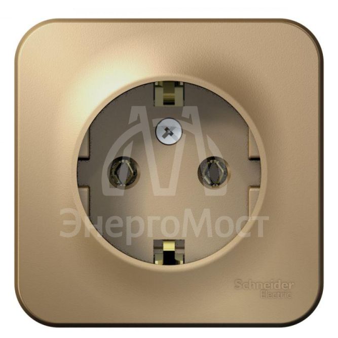 Розетка 1-м ОП BLANCA 16А 250В без шторок с заземл. изол. пласт. титан SchE BLNRA010114