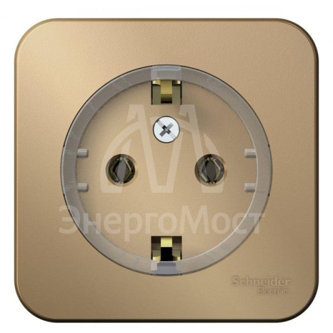 Розетка 1-м ОП BLANCA (КОМПАКТ) 16А 250В без. шторок с заземл. изол. пласт. титан SchE BLNRA110114