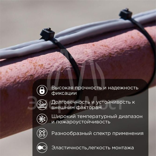 Хомут кабельный 4.8х250 нейл. черн. (уп.100шт) Rexant 07-0251-5