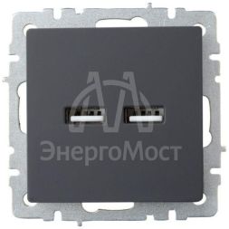 Розетка BRITE USB A+A 3.1А РЮ10-1-БрГ графит IEK BR-U21-D31-K53
