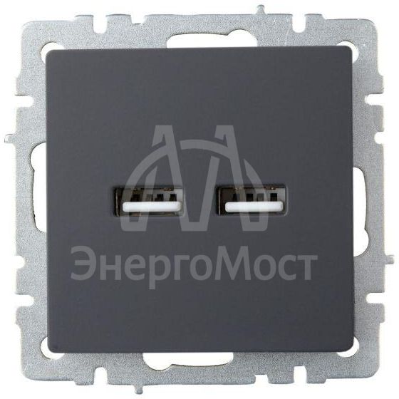 Розетка BRITE USB A+A 3.1А РЮ10-1-БрГ графит IEK BR-U21-D31-K53