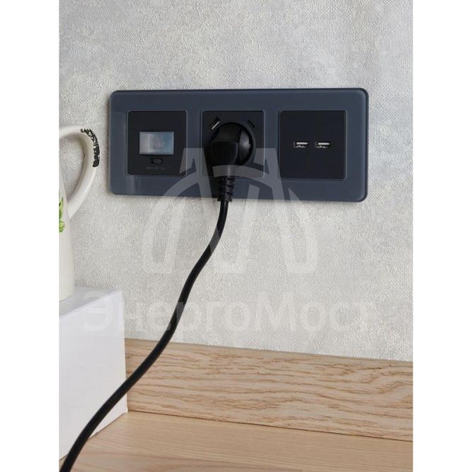 Розетка BRITE USB A+A 3.1А РЮ10-1-БрГ графит IEK BR-U21-D31-K53