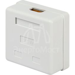 Розетка компьютерная RJ-45 кат.5e неэкран. 2-порта ЭРА Б0056902