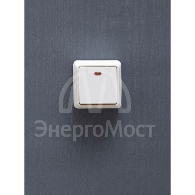 Выключатель 1-кл. ОП Октава 10А IP20 ВС20-1-1-ОБ с индикацией бел. IEK EVO11-K01-10-DC