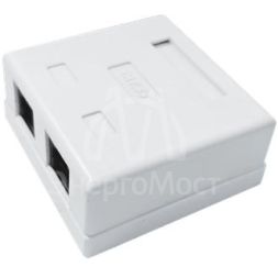 Розетка компьютерная 8P8C (RJ45) UTP кат.5E 2 порта TOKOV ELECTRIC TKE-SMB-8P8C-2P-UTP