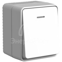 Выключатель 1-кл. ОП AtlasDesign PROFI IP54 с подсветкой 10 АХ сер. SE ATN543013