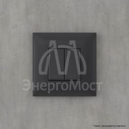 Кнопка 2-кл. СП Avanti &amp;quot;Черный матовый&amp;quot; DKC 4412154