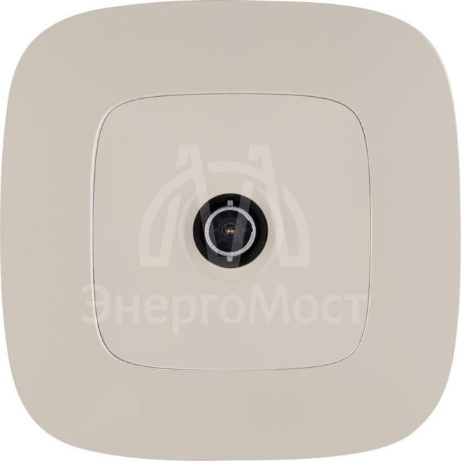 Рамка 1-м Valena Allure универсальная сл. кость Leg 754311