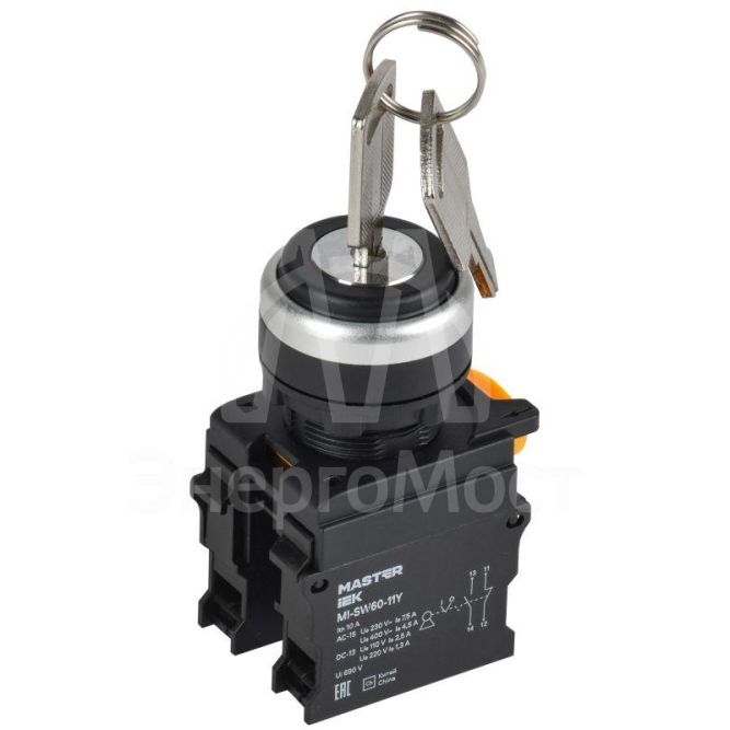 Переключатель 2 полож. 1НО+1НЗ с ключом черн. MASTER IEK MI-SW60-11Y-3-34-2-K02