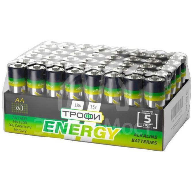 Элемент питания алкалиновый AA/LR6-40 bulk Eco (уп.40шт) Трофи Б0027815